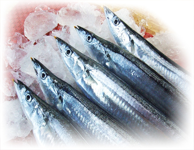 海の幸直送得能水産 超大刀さんま
